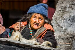 Stok (102) Festival Stok Guru Tsechu