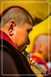 Stok Guru Tsechu Festival, Stok (155)