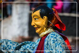Stok Guru Tsechu Festival, Stok (178)