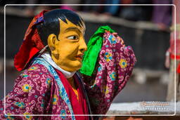 Stok (187) Festival Stok Guru Tsechu