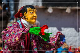 Stok (225) Stok Guru Tsechu Festival