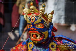 Stok (269) Festival Stok Guru Tsechu