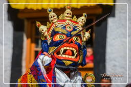 Stok Guru Tsechu Festival, Stok (284)