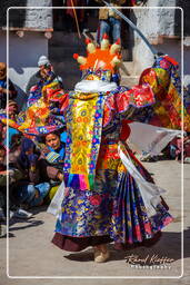 Stok Guru Tsechu Festival, Stok (303)