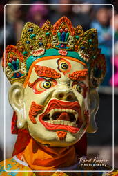 Stok Guru Tsechu Festival, Stok (312)