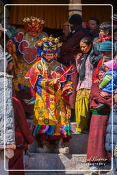 Stok (336) Stok Guru Tsechu Festival