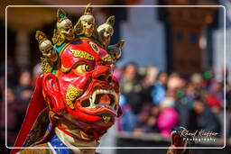 Stok (349) Festival Stok Guru Tsechu