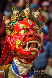 Stok (353) Stok Guru Tsechu Festival