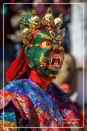 Stok (367) Stok Guru Tsechu Festival