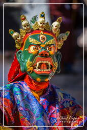 Stok (383) Festival Stok Guru Tsechu