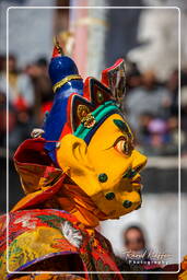 Stok Guru Tsechu Festival, Stok (418)