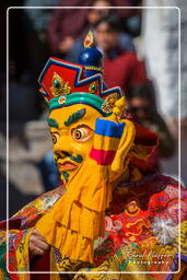 Stok (424) Stok Guru Tsechu Festival