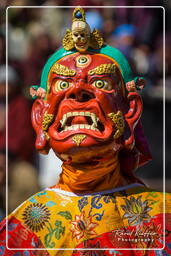 Stok (436) Stok Guru Tsechu Festival