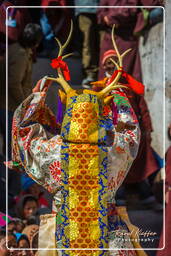 Stok (446) Festival Stok Guru Tsechu