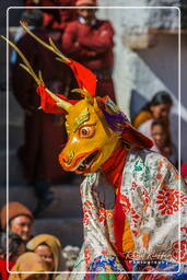 Stok (448) Festival Stok Guru Tsechu