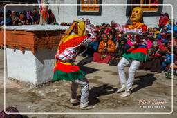 Stok (472) Festival Stok Guru Tsechu