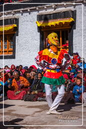 Stok (478) Festival Stok Guru Tsechu