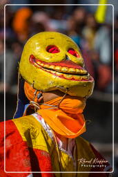 Stok Guru Tsechu Festival, Stok (489)