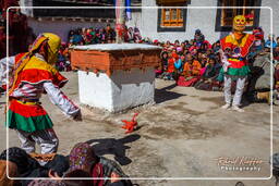 Stok (501) Stok Guru Tsechu Festival