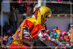 Stok Guru Tsechu Festival, Stok (509)