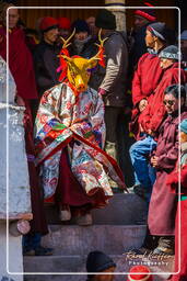 Stok Guru Tsechu Festival, Stok (520)