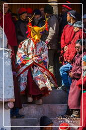 Stok (520) Stok Guru Tsechu Festival