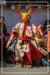 Stok (527) Stok Guru Tsechu Festival