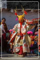 Stok (529) Festival Stok Guru Tsechu