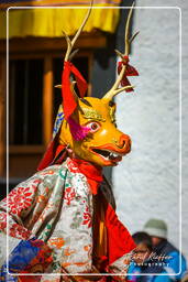 Stok Guru Tsechu Festival, Stok (539)