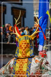 Stok (545) Festival Stok Guru Tsechu