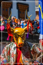 Stok (549) Festival Stok Guru Tsechu