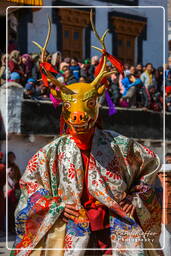 Stok (556) Stok Guru Tsechu Festival