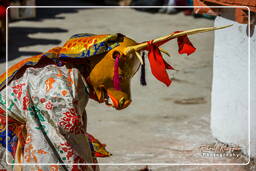 Stok Guru Tsechu Festival, Stok (575)