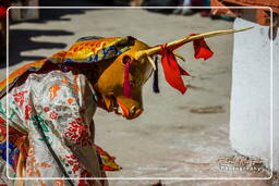 Stok (575) Festival Stok Guru Tsechu