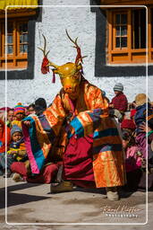 Stok (615) Festival Stok Guru Tsechu