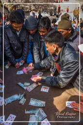 Stok Guru Tsechu Festival, Stok (872)