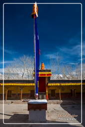 Stok Guru Tsechu Festival, Stok (877)