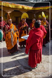 Stok Guru Tsechu Festival, Stok (921)
