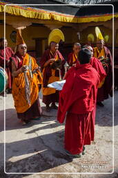 Stok (921) Stok Guru Tsechu Festival