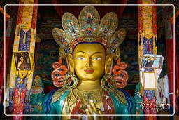 Maitreya, Thiksey (186)