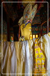 Maitreya, Thiksey (189)
