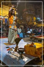 Varanasi (68) Dashashwamedh Ghat