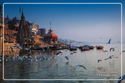 Ratneshwar Mahadev Temple, Varanasi (206)