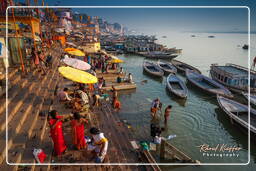 Varanasi (322) Dashashwamedh Ghat