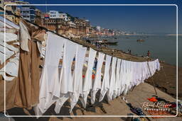 Babua Pandey Ghat, Varanasi (369)