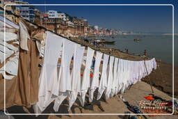 Varanasi (369) Babua Pandey Ghat