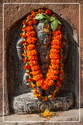 Varanasi (389) Ganges