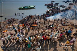 Manikarnika Ghat, Varanasi (397)