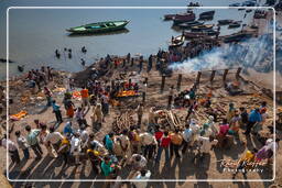 Varanasi (397) Manikarnika Ghat