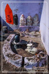 Ganges, Varanasi (409)